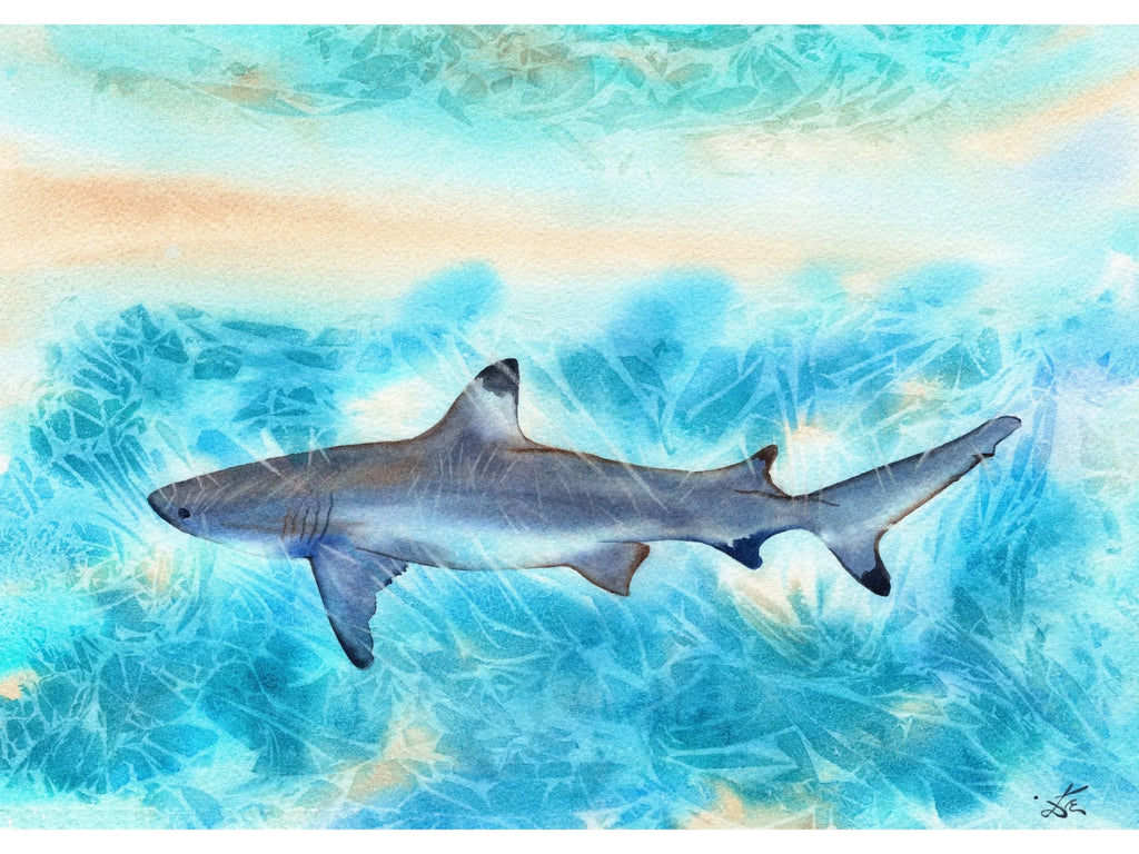 Sunlit Shark  - Art Print