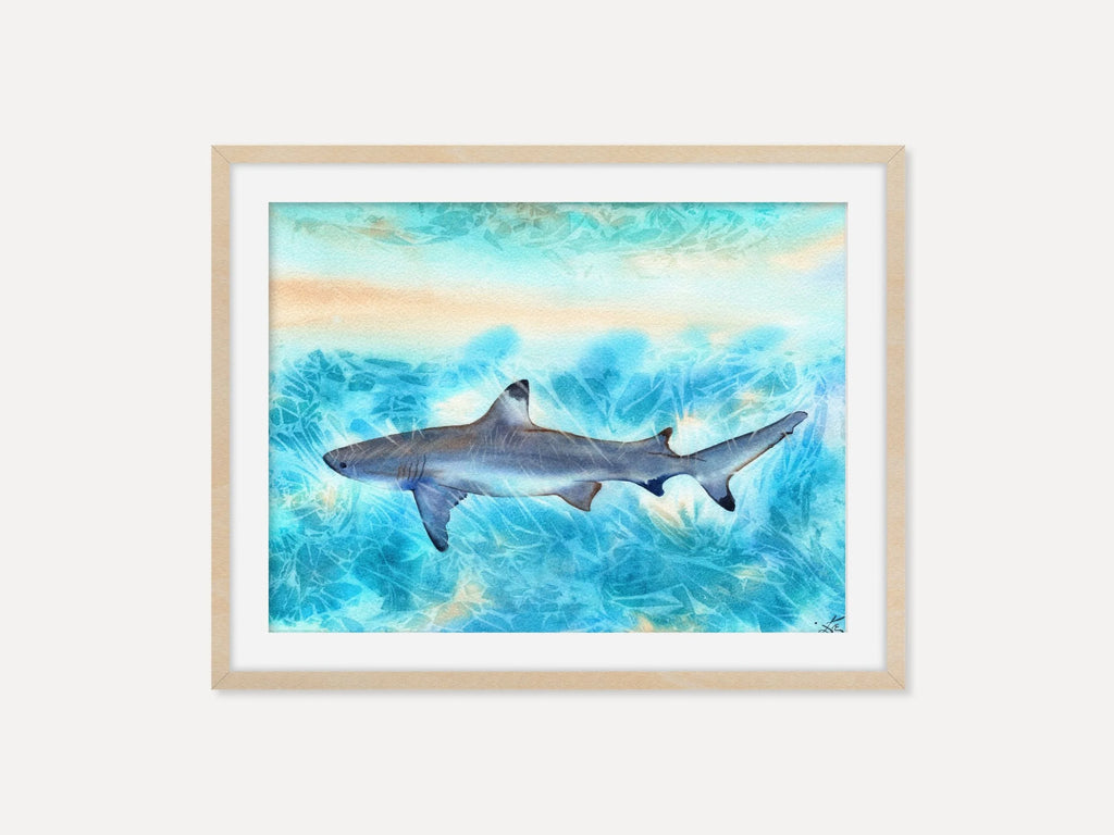 Sunlit Shark  - Art Print