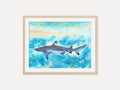 Sunlit Shark  - Art Print