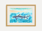 Sunlit Shark  - Art Print