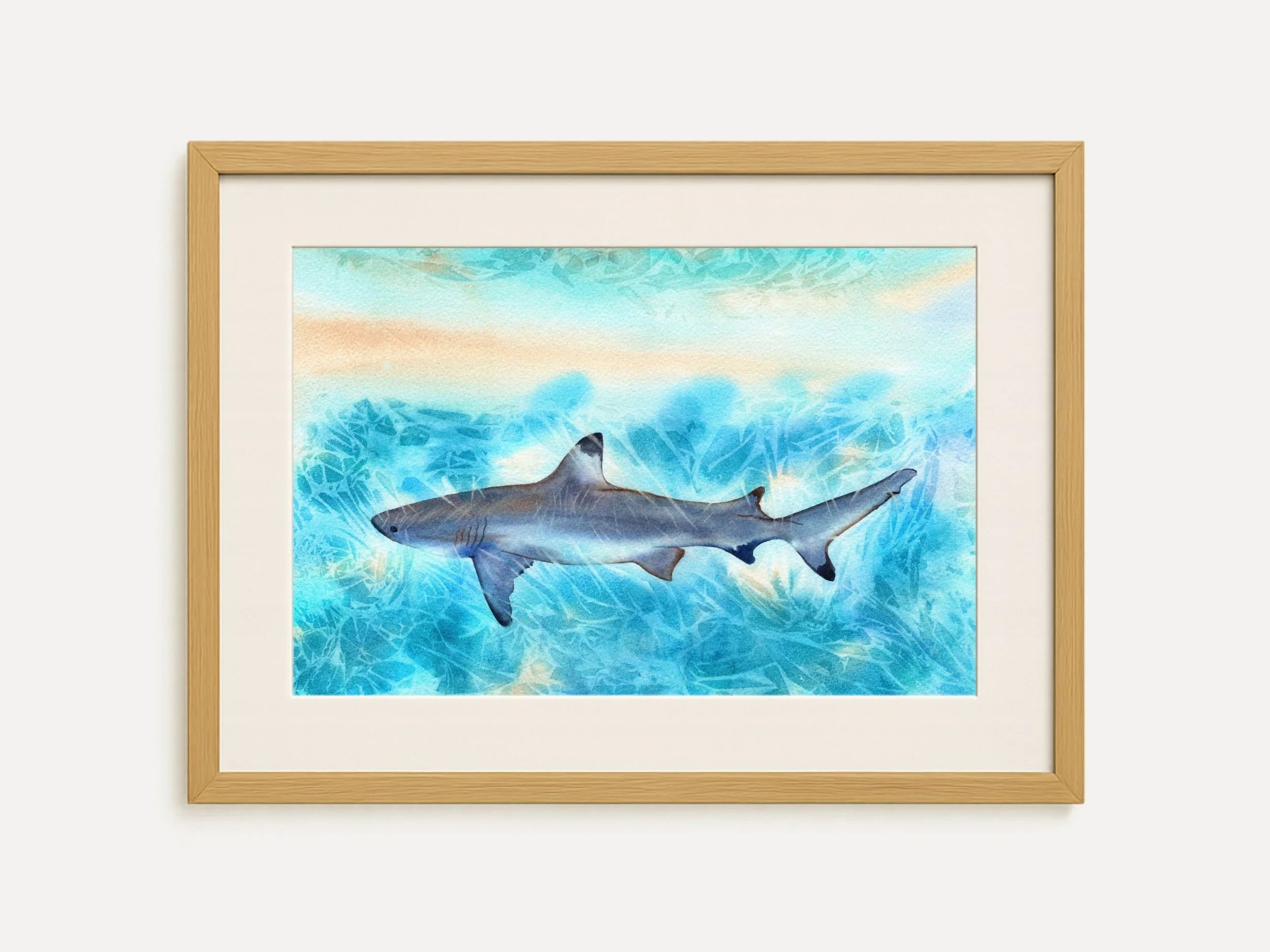 Sunlit Shark  - Art Print