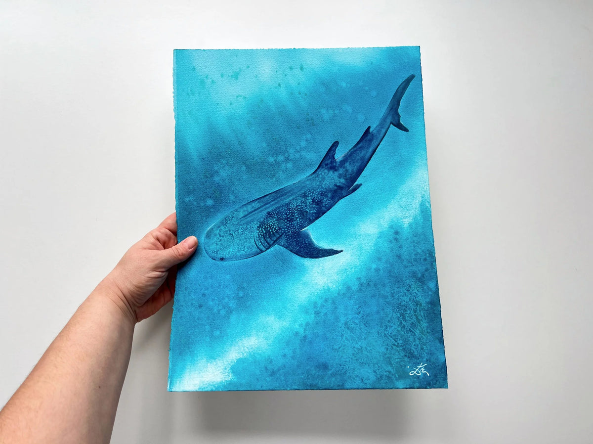 Whale Shark  - Original Watercolor Painting