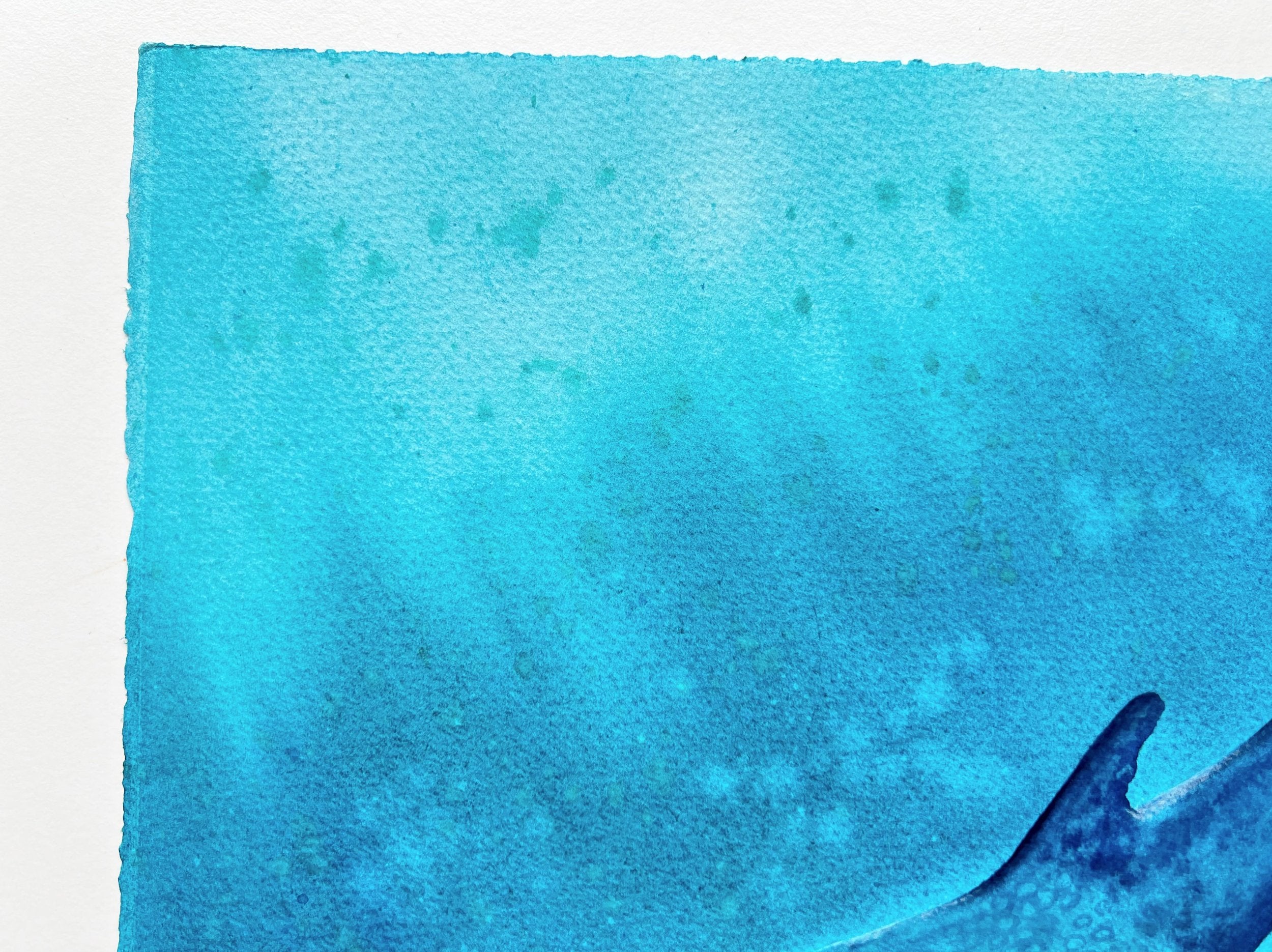 Whale Shark  - Original Watercolor Painting