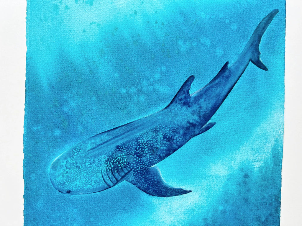Whale Shark  - Original Watercolor Painting