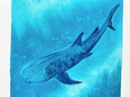 Whale Shark  - Original Watercolor Painting