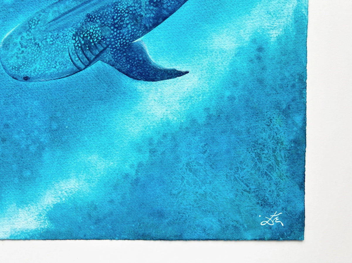 Whale Shark  - Original Watercolor Painting