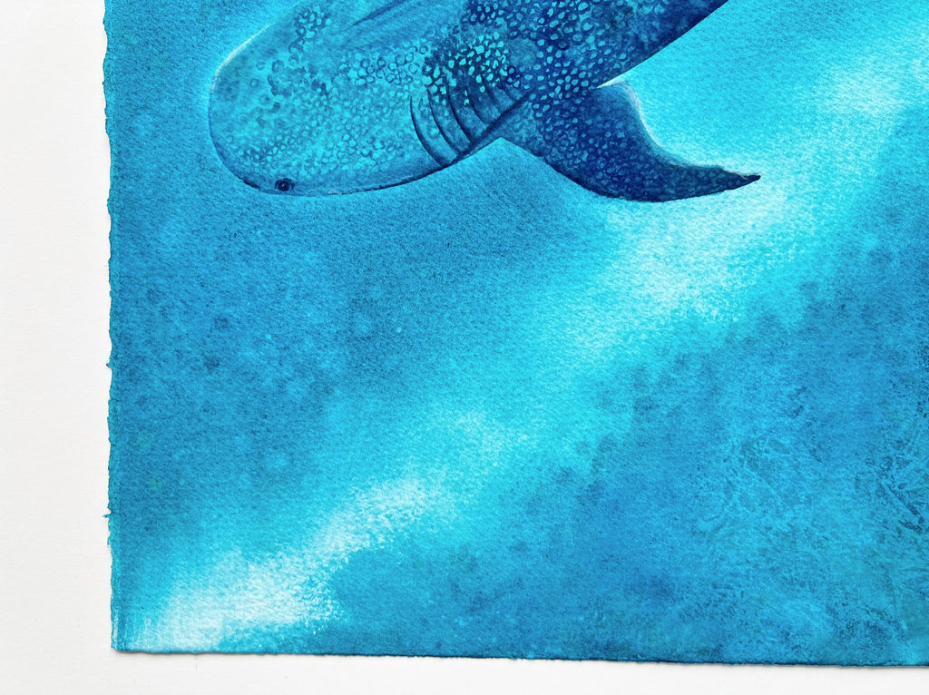 Whale Shark  - Original Watercolor Painting