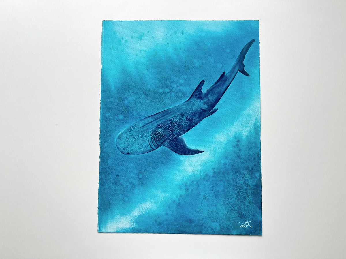 Whale Shark  - Original Watercolor Painting