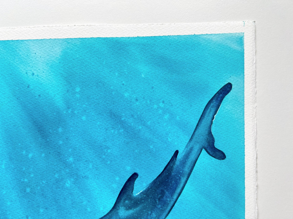 Whale Shark 2  - Original Watercolor Painting | On Display