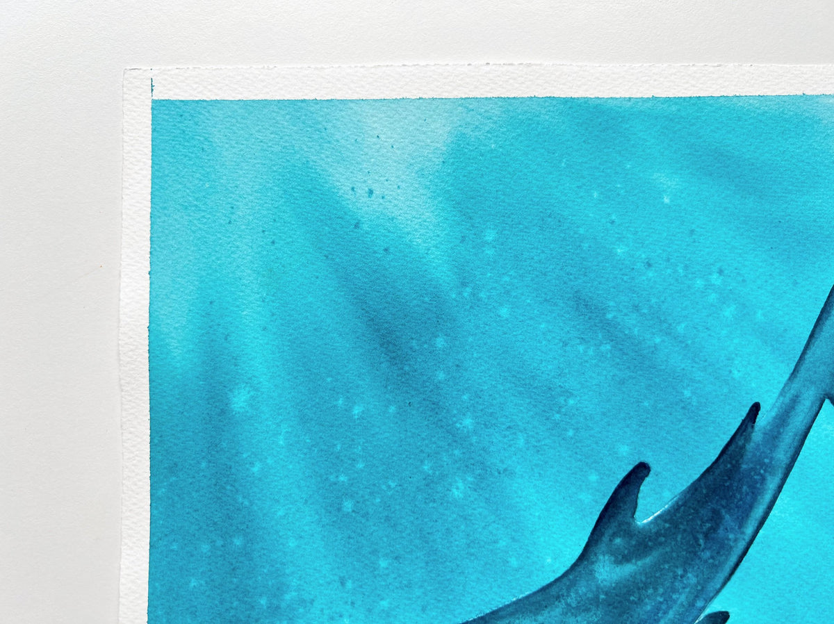 Whale Shark 2  - Original Watercolor Painting | On Display