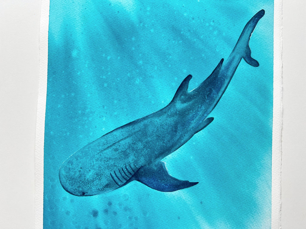 Whale Shark 2  - Original Watercolor Painting | On Display