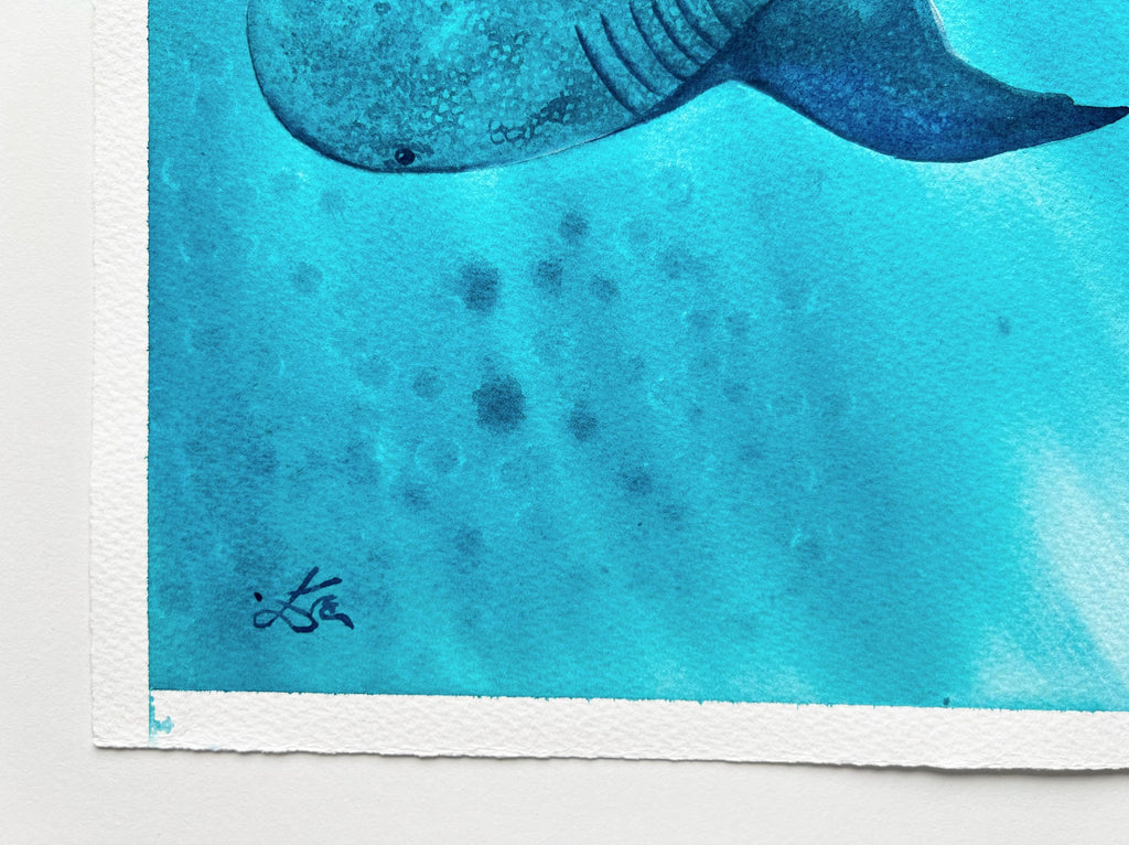 Whale Shark 2  - Original Watercolor Painting | On Display