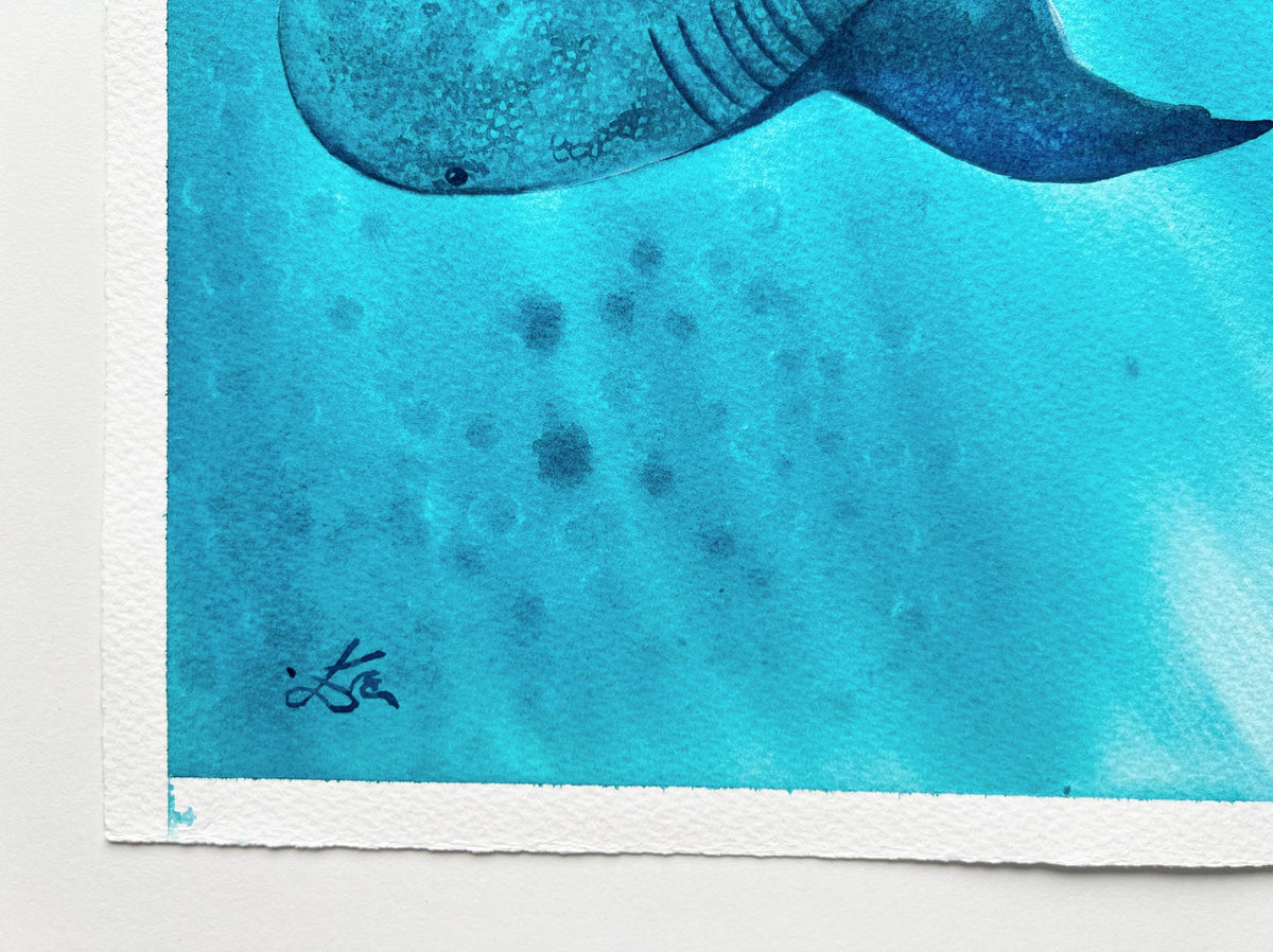 Whale Shark 2  - Original Watercolor Painting | On Display