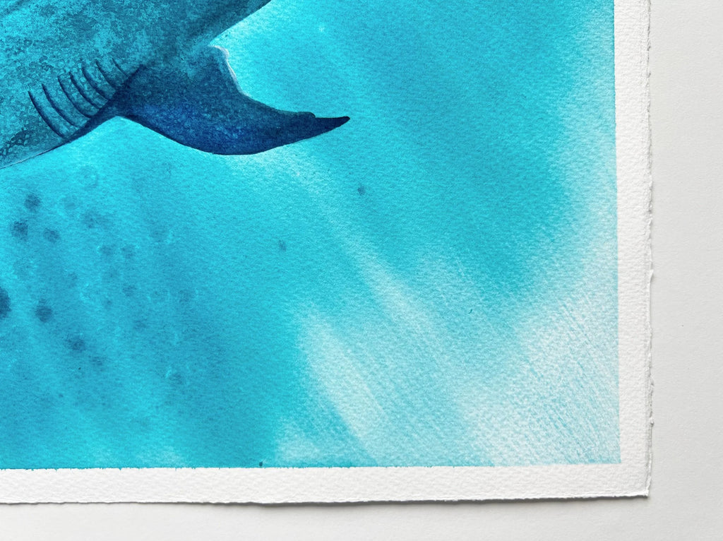 Whale Shark 2  - Original Watercolor Painting | On Display