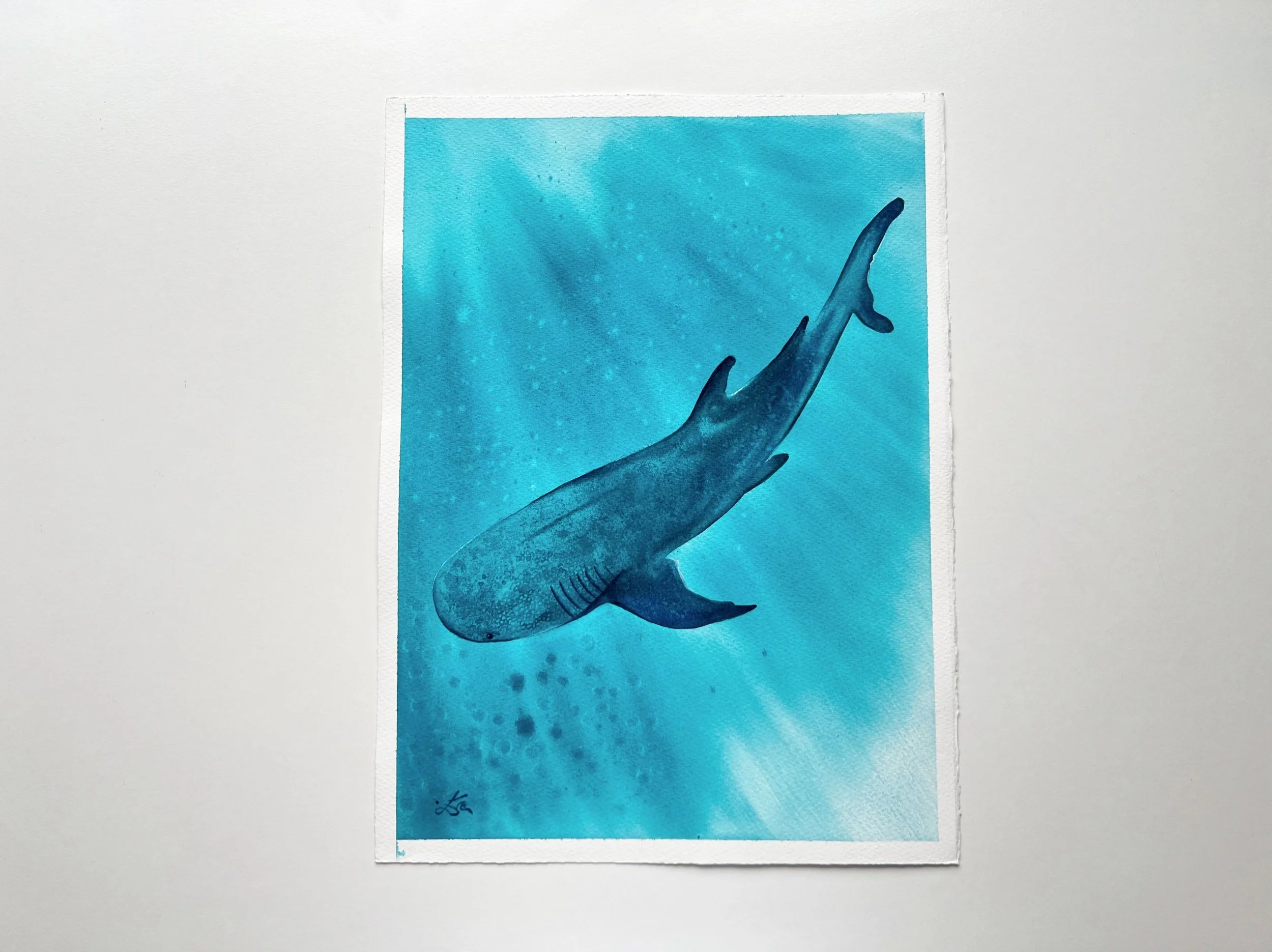 Whale Shark 2  - Original Watercolor Painting | On Display