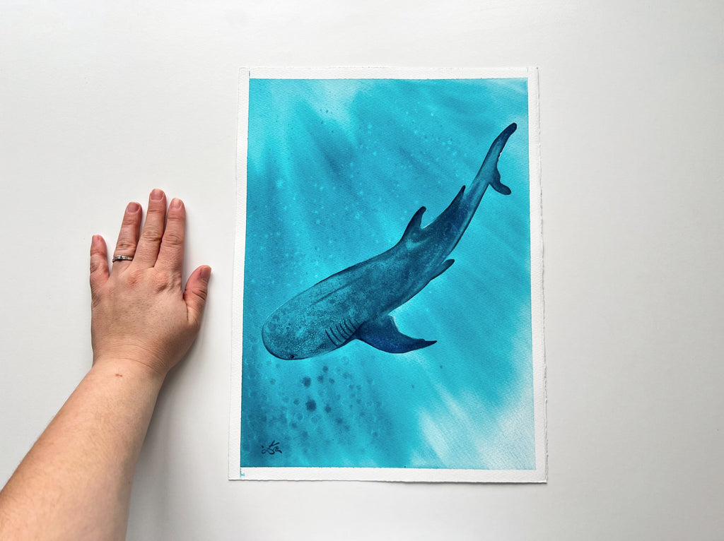 Whale Shark 2  - Original Watercolor Painting | On Display