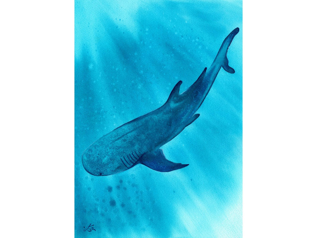Whale Shark - Art Print