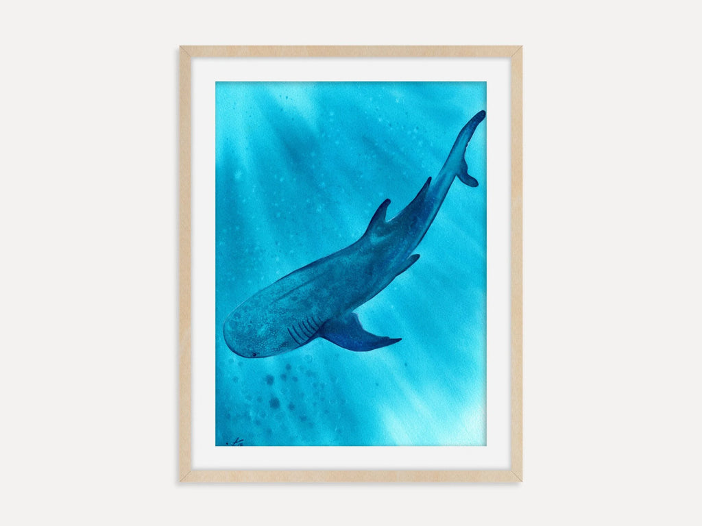Whale Shark - Art Print