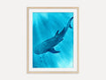 Whale Shark - Art Print