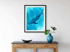 Whale Shark - Art Print