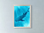 Whale Shark - Art Print