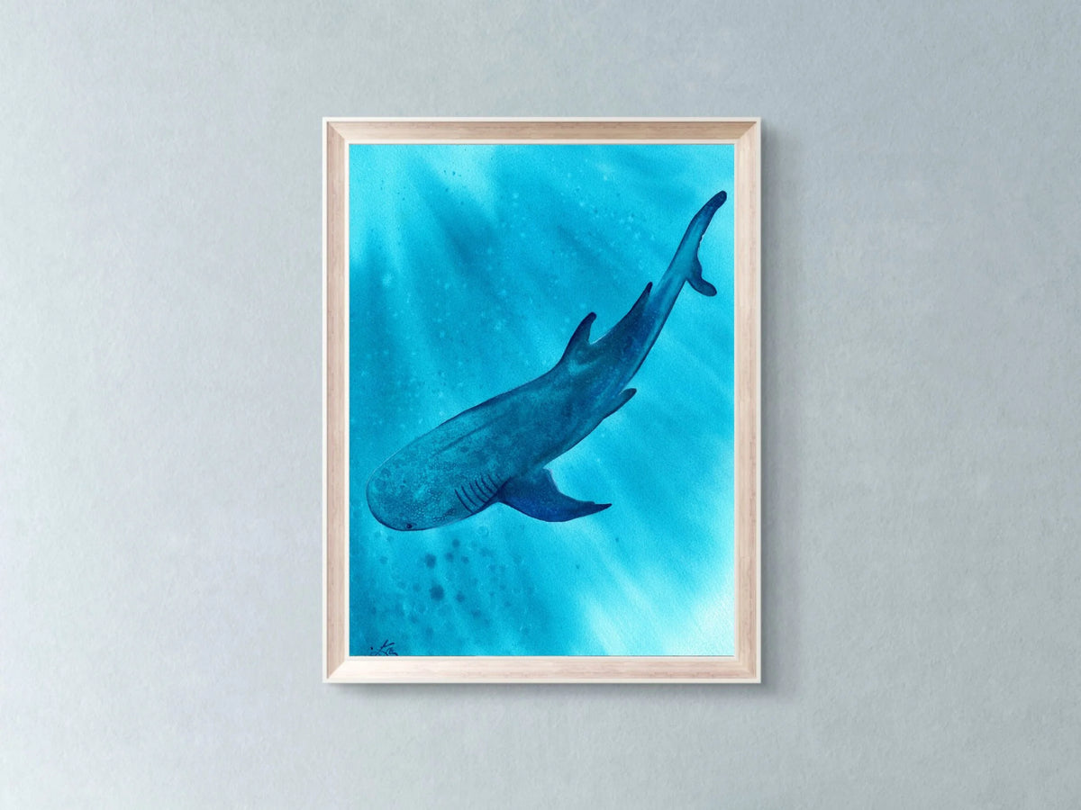 Whale Shark - Art Print