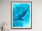 Whale Shark - Art Print