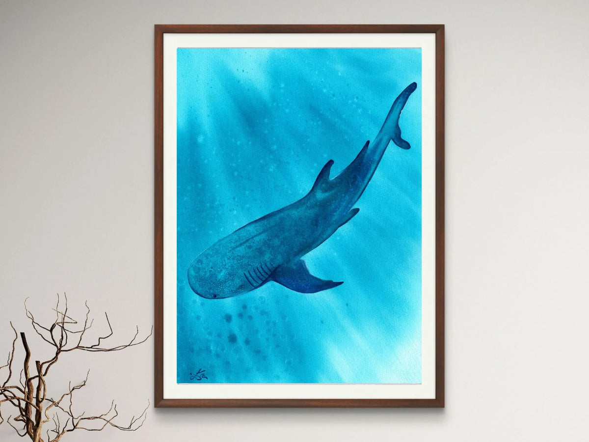Whale Shark - Art Print
