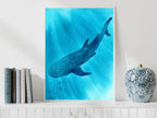 Whale Shark - Art Print