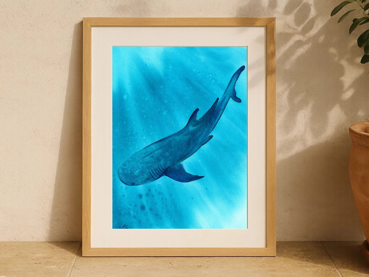 Whale Shark - Art Print