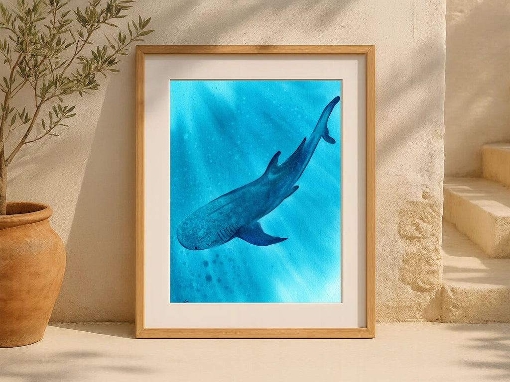 Whale Shark - Art Print