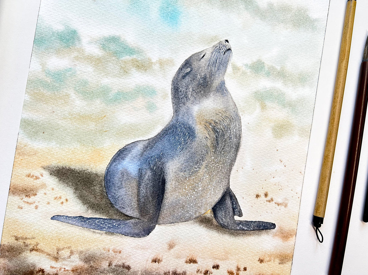 Sunbathing Seal  - Original Watercolor Painting