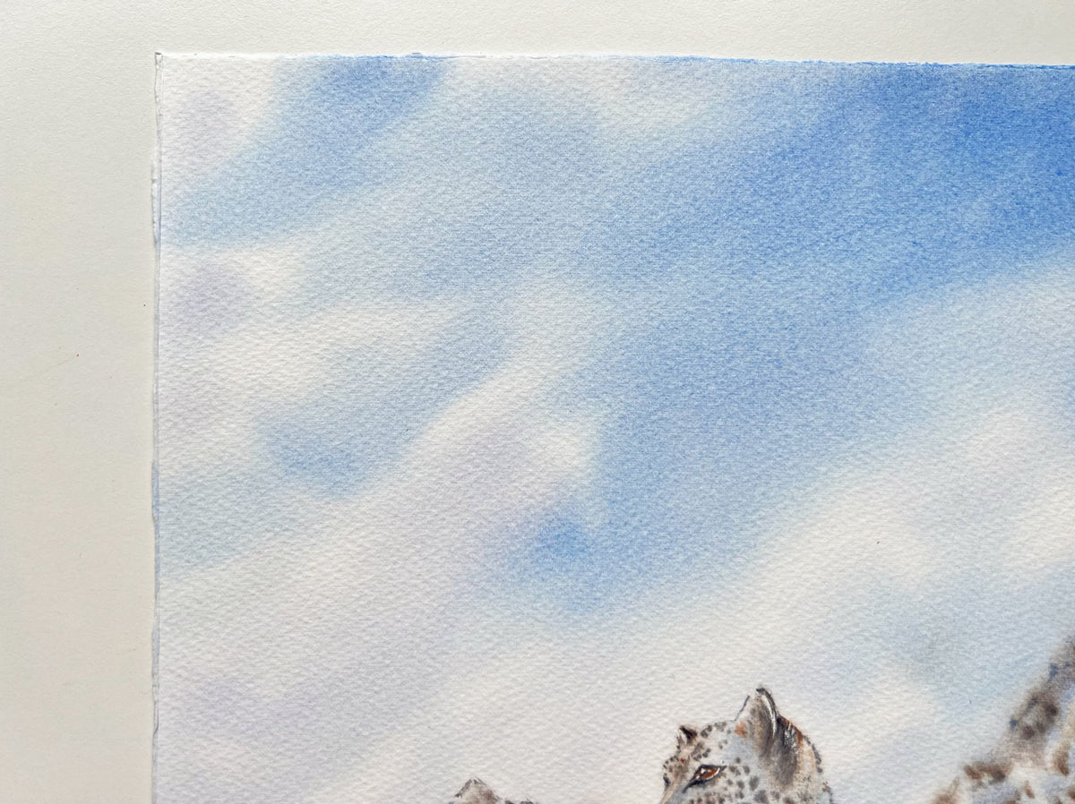 Snow Leopard  - Original Watercolor Painting