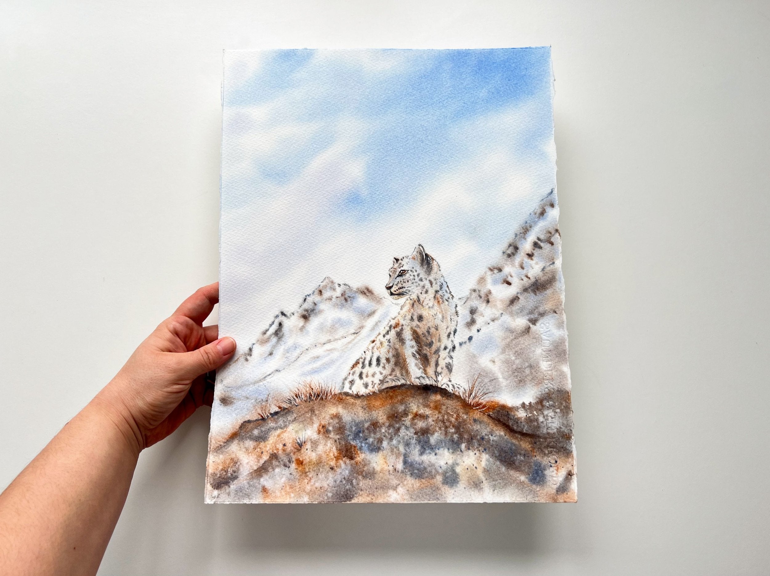 Snow Leopard  - Original Watercolor Painting