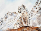 Snow Leopard  - Original Watercolor Painting