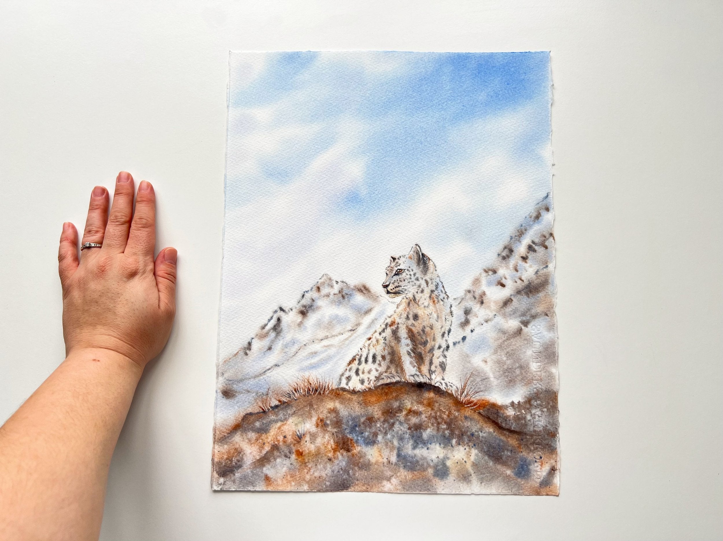 Snow Leopard  - Original Watercolor Painting